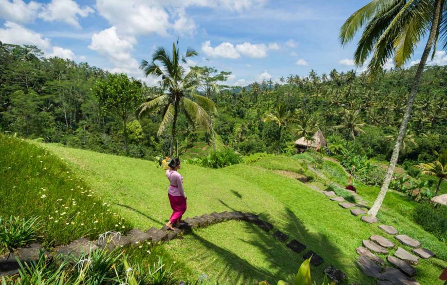 Bali’s Cultural Tapestry: A Day of Art, Crafts, and Nature