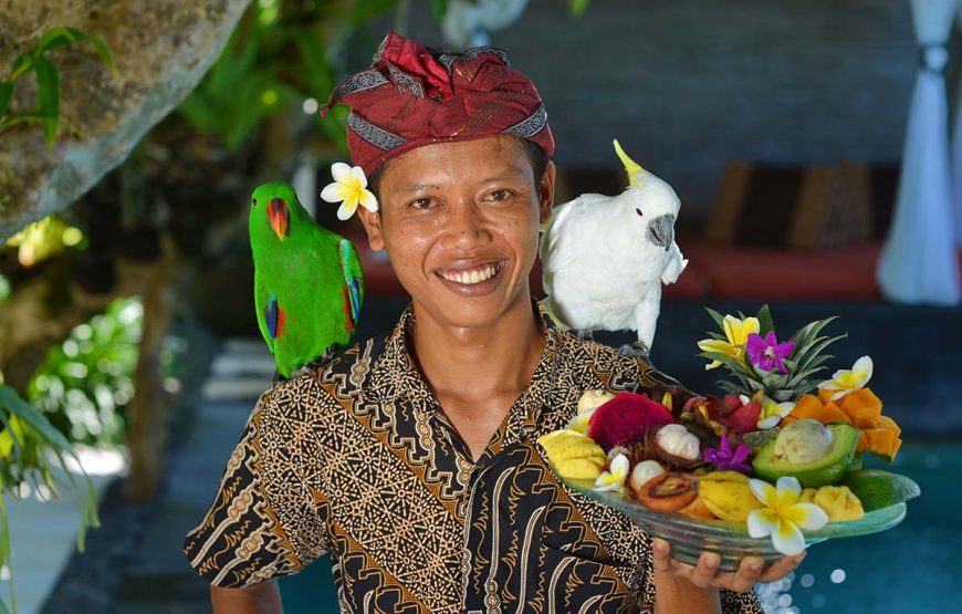 Bali Adventure: Wildlife Encounter and Monkey Forest Exploration