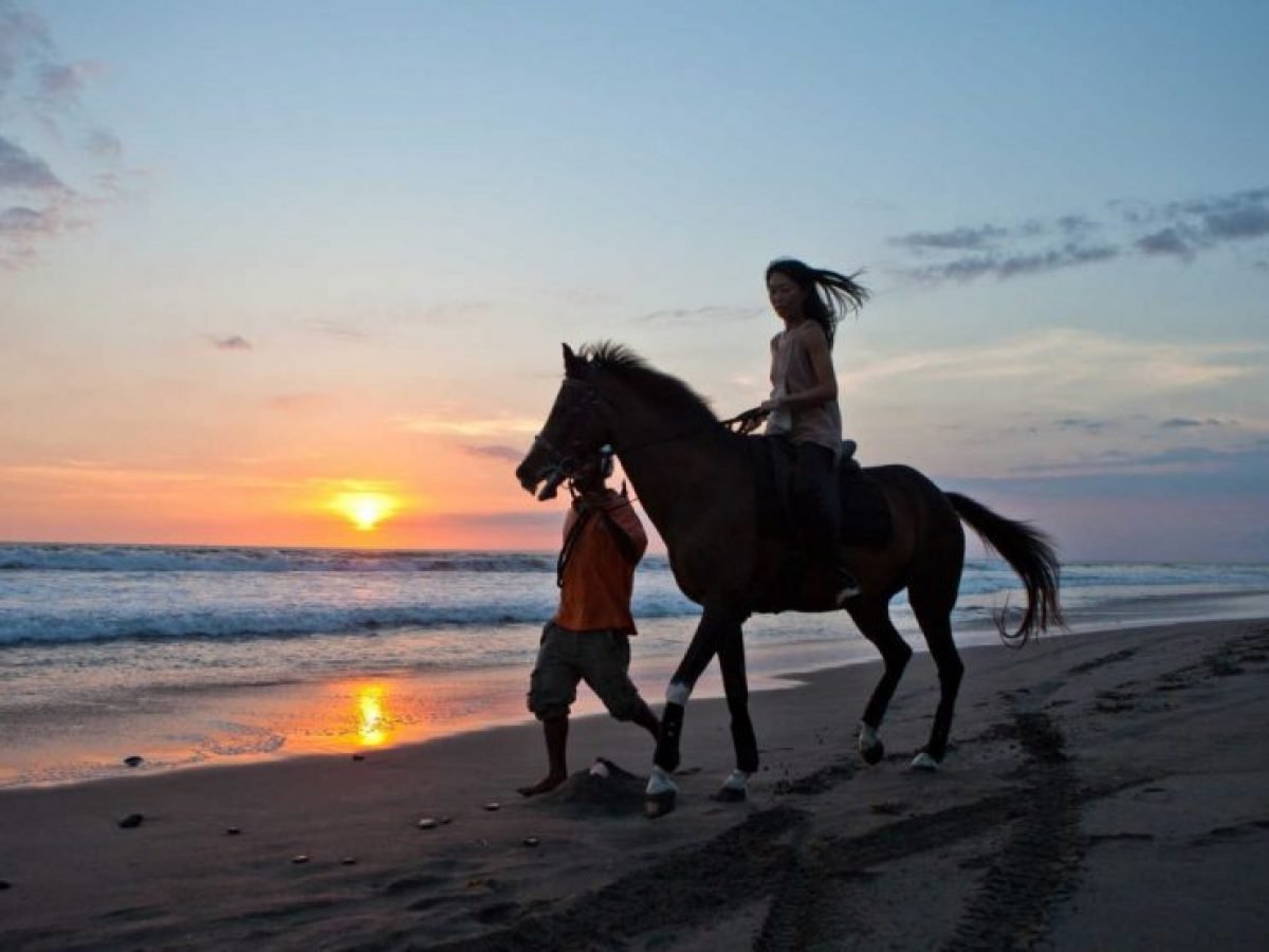 Bali Horse Ridding