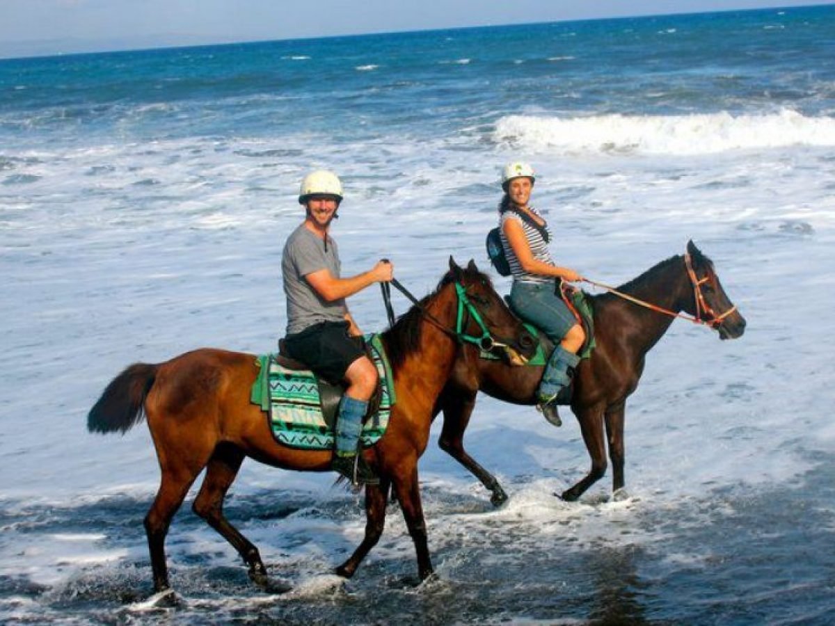 Bali Horse Ridding