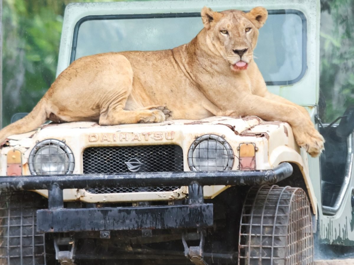 Bali Wildlife Adventure