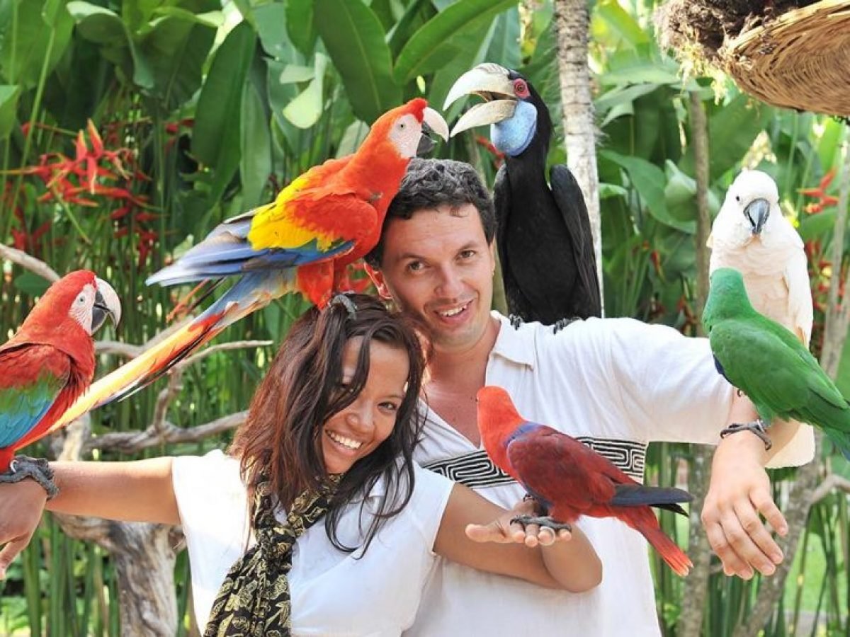 Bali Animals Exploration