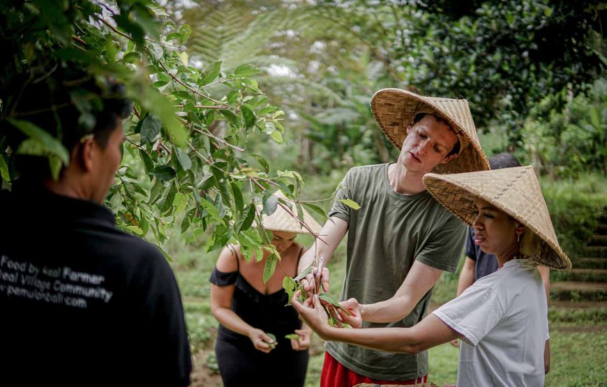 Taste of Bali: Vegetarian & Non-Vegetarian Cooking Class