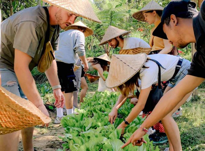 Pemulan Cooking class group vegetable harvesting - Luxury Bali Tours and Travel