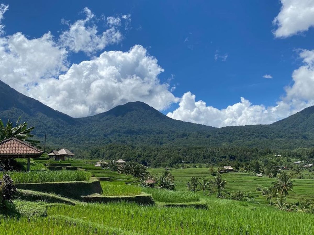 West Bali VW Safari