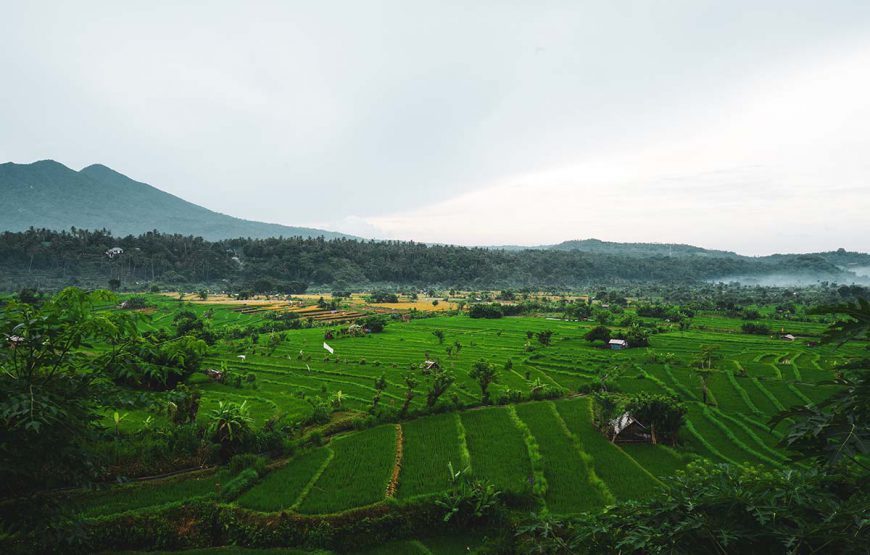 Bali’s Scenic Trilogy: Ulun Danu, Jatiluwih, and Tanah Lot