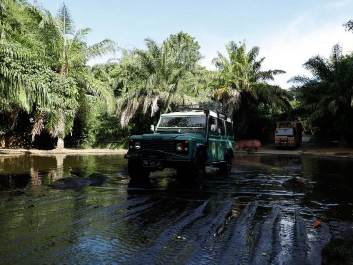 Jeep at Bali Safari and Marine Park