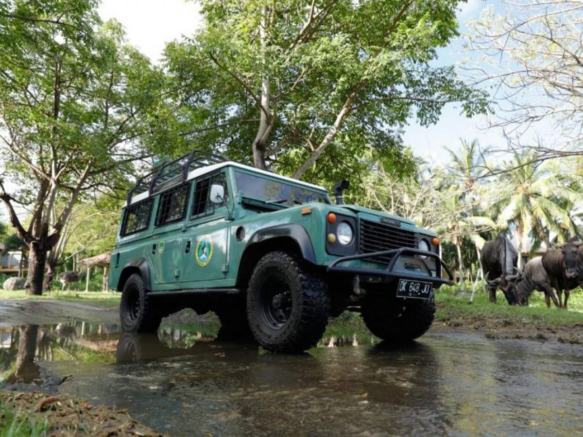 Jeep at Bali Safari and Marine Park
