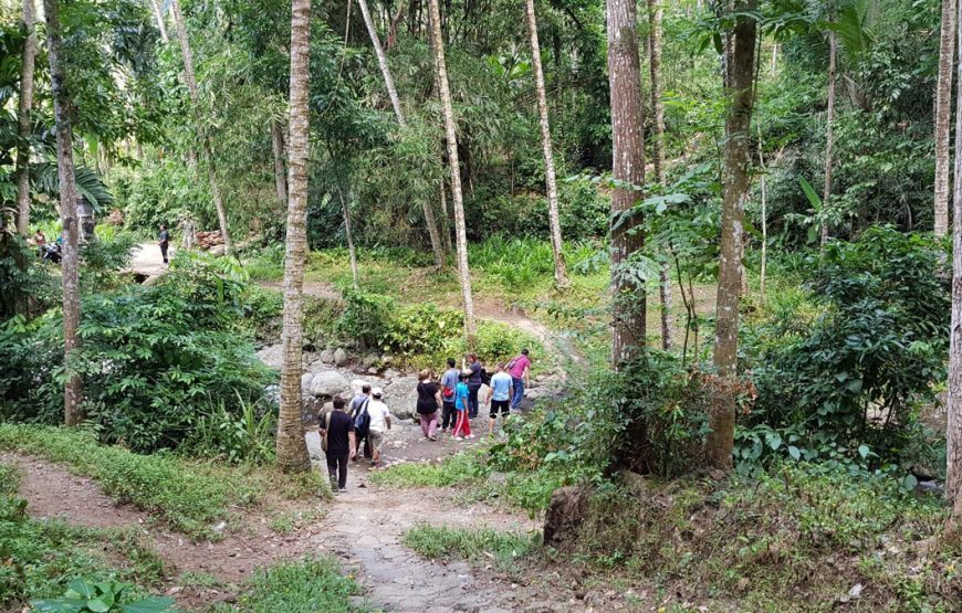 Tropical Trekking by Mason Adventures