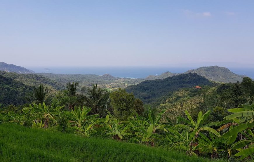 Bali’s Cultural Odyssey: Lempuyang, Tirta Gangga, Candi Dasa and Taman Ujung