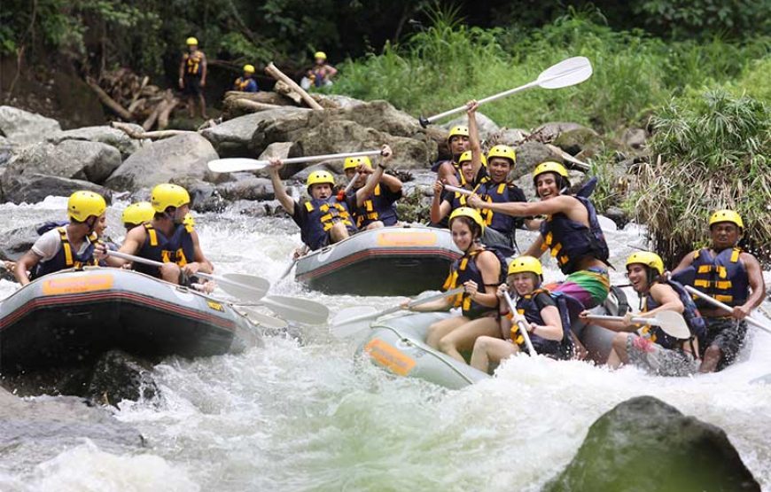 Bali River Rafting Adventure: A Thrilling Jungle Journey