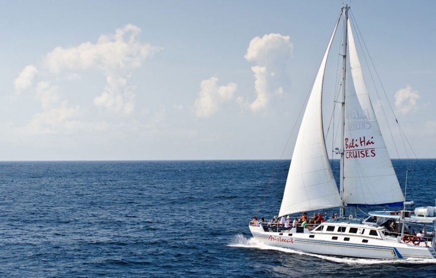 Catamaran Cruise to Nusa Lembongan