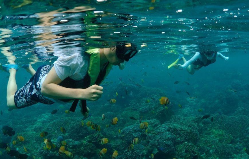 Catamaran Cruise to Nusa Lembongan