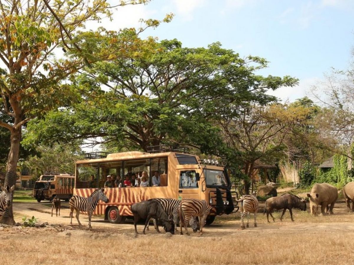Safari Journey at Bali Safari and Marine Park