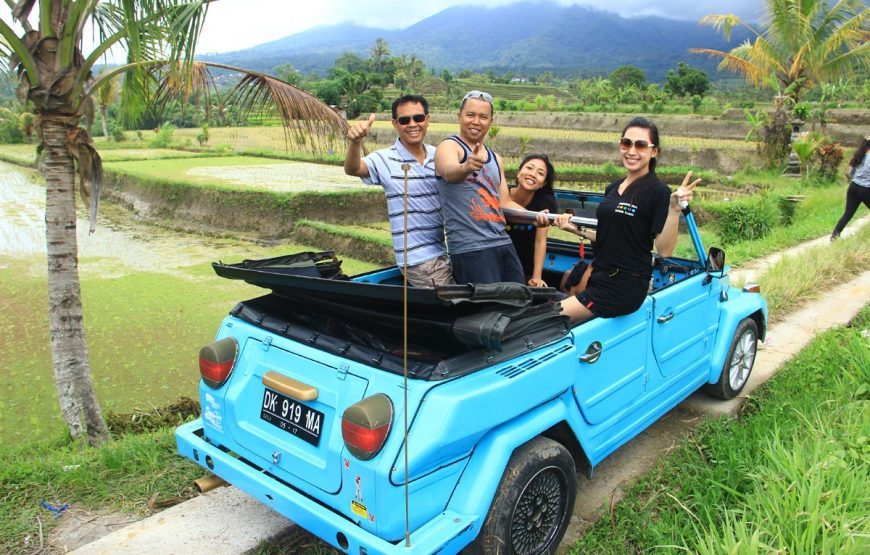 West Bali VW Safari