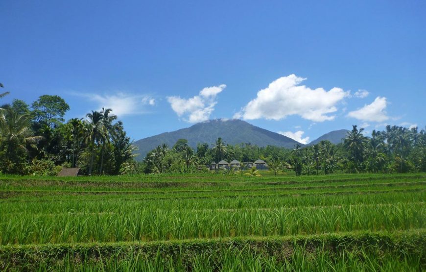 Sacred Temples of Bali Tour