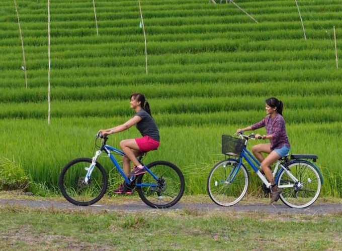 Cycling Tour in Ubud