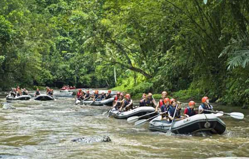 Bali River Rafting Adventure: A Thrilling Jungle Journey