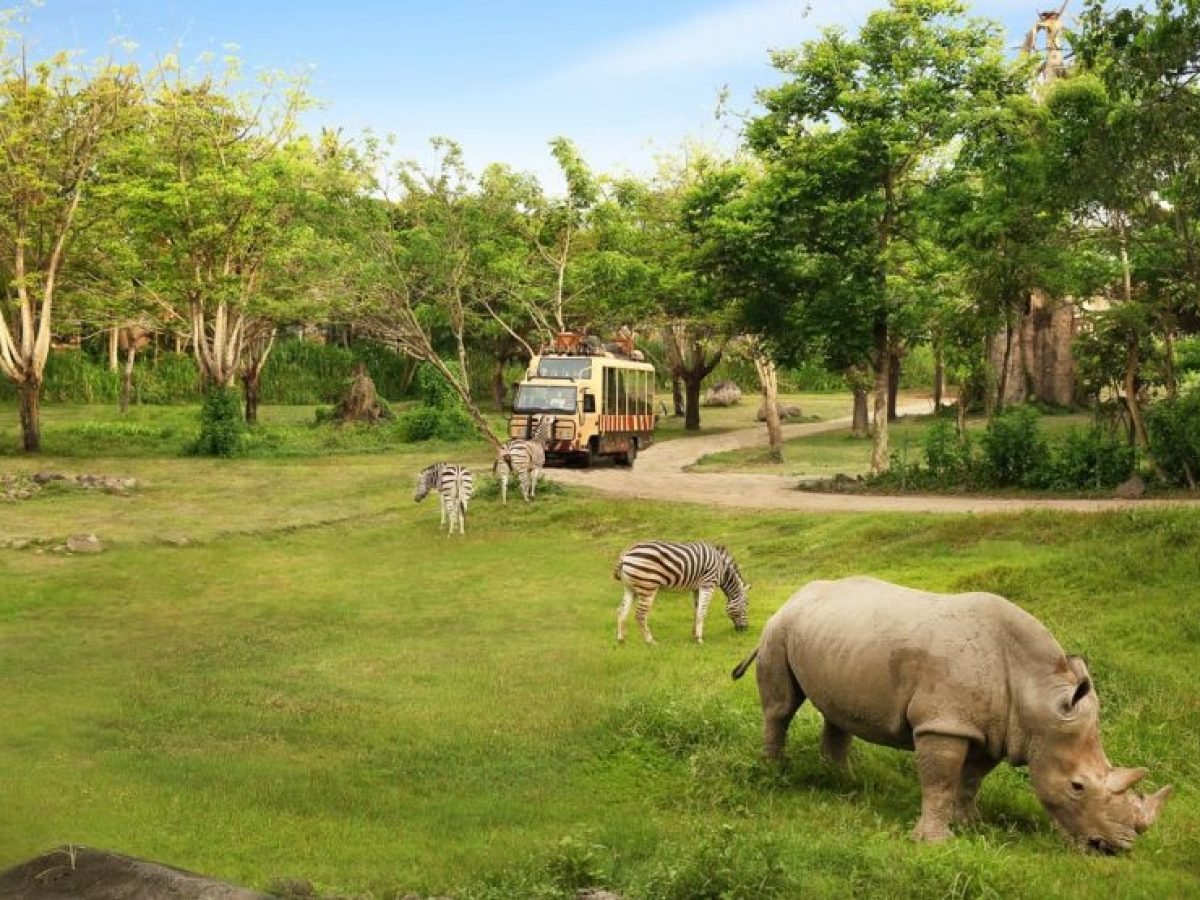 Safari Journey at Bali Safari and Marine Park