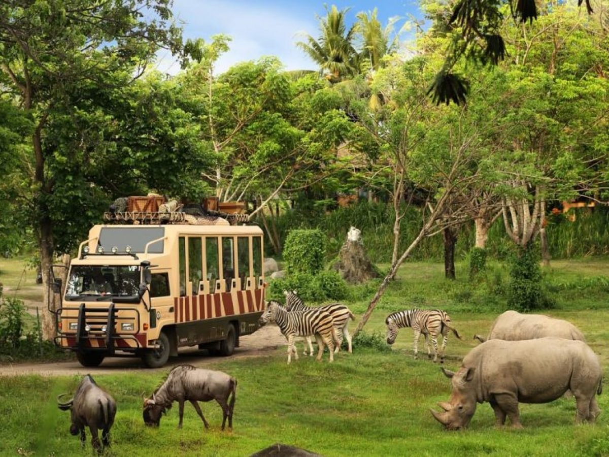 Safari Journey at Bali Safari and Marine Park
