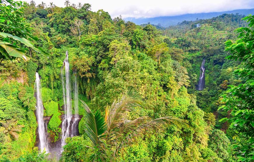 Sekumpul Waterfall and Handara Gate