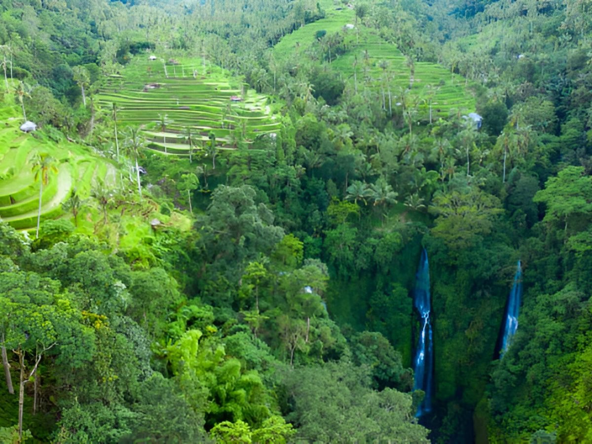 Sekumpul Waterfall and Handara Gate