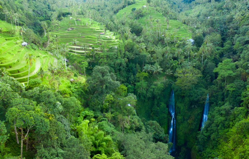 Sekumpul Waterfall and Handara Gate