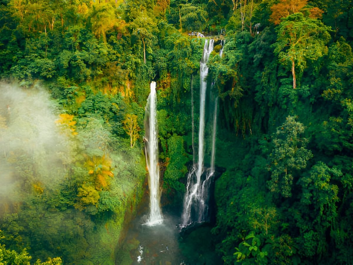 Sekumpul Waterfall and Handara Gate