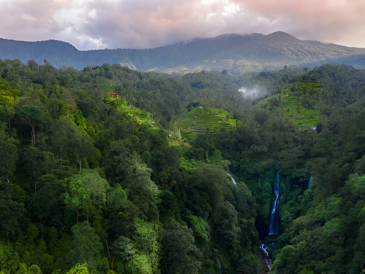 Sekumpul Waterfall and Handara Gate