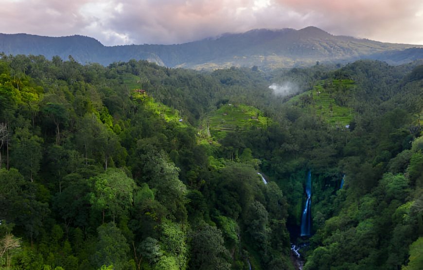 Sekumpul Waterfall and Handara Gate