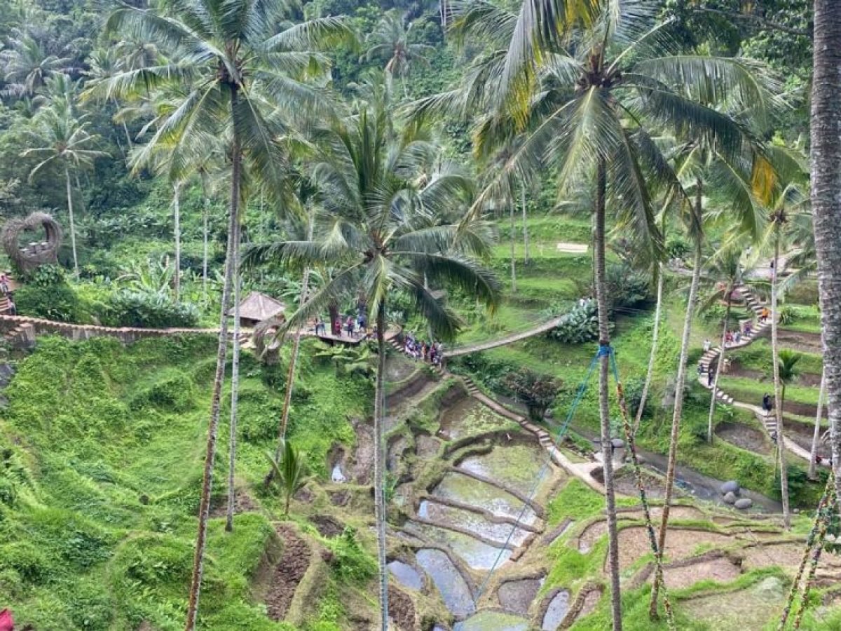 Swing while enjoying Ubud Rice Terrace