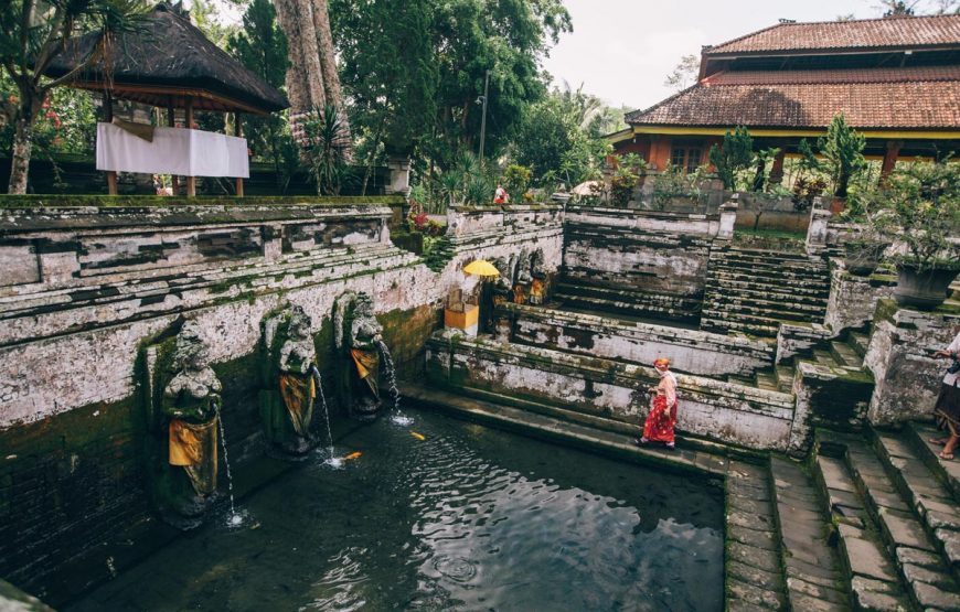 Bali’s Cultural and Natural Wonders: A Day of Exploration