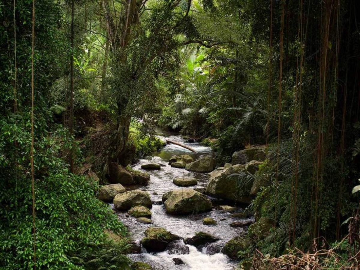 Pakerisan River near Gunung Kawi temple