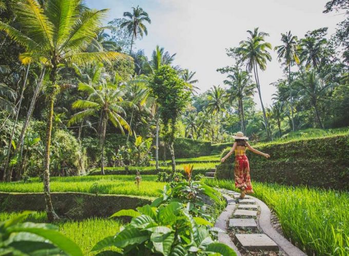 Ubud Explorer – Heart of Bali