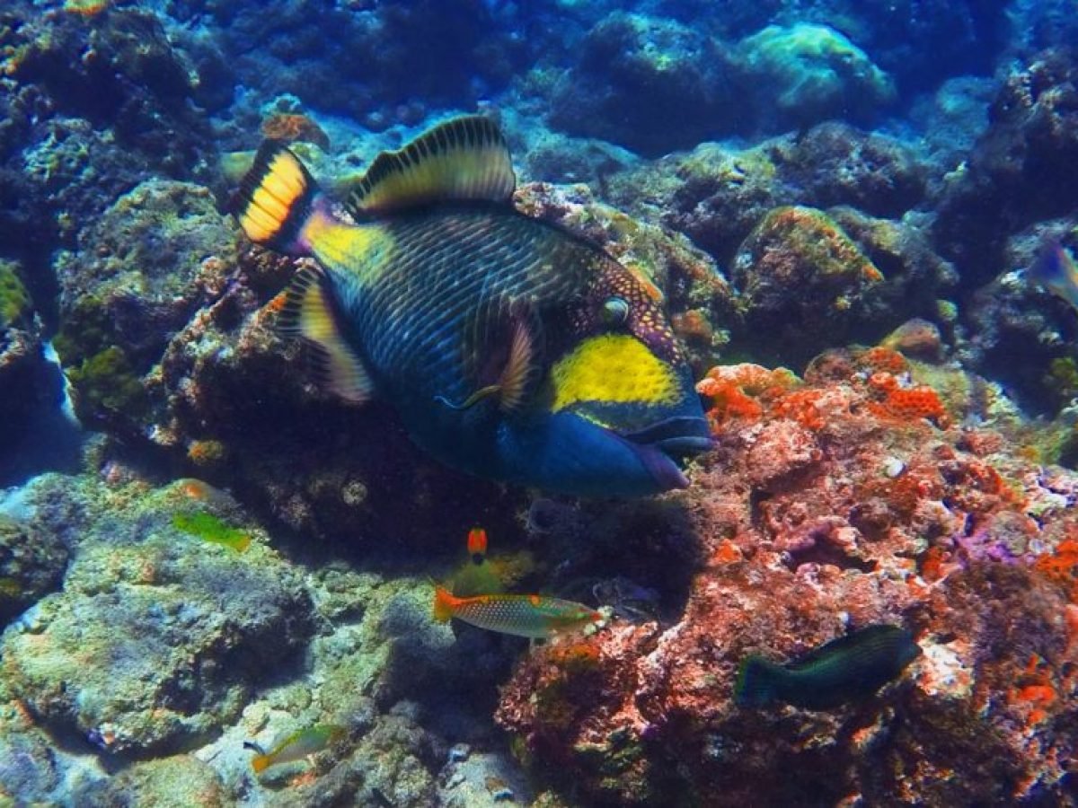 Underwater atmosphere-Luxury Bali Travel