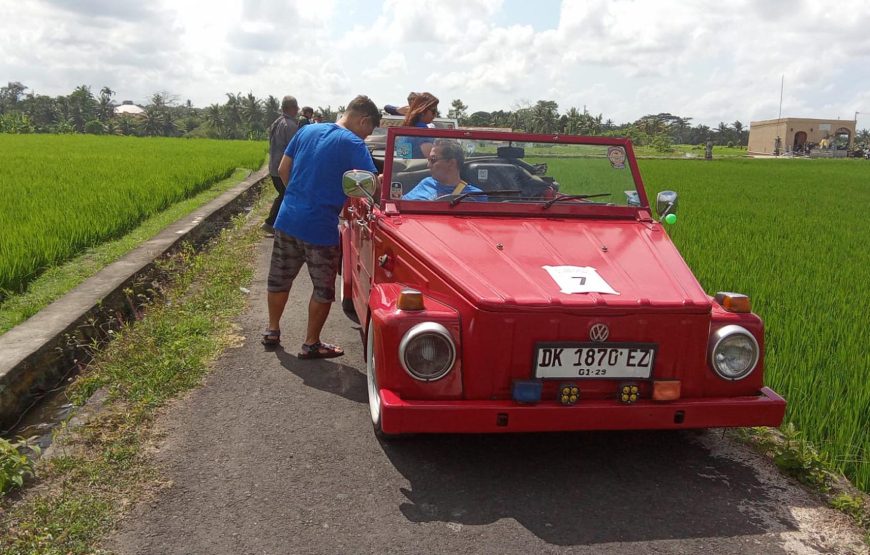 West Bali VW Safari