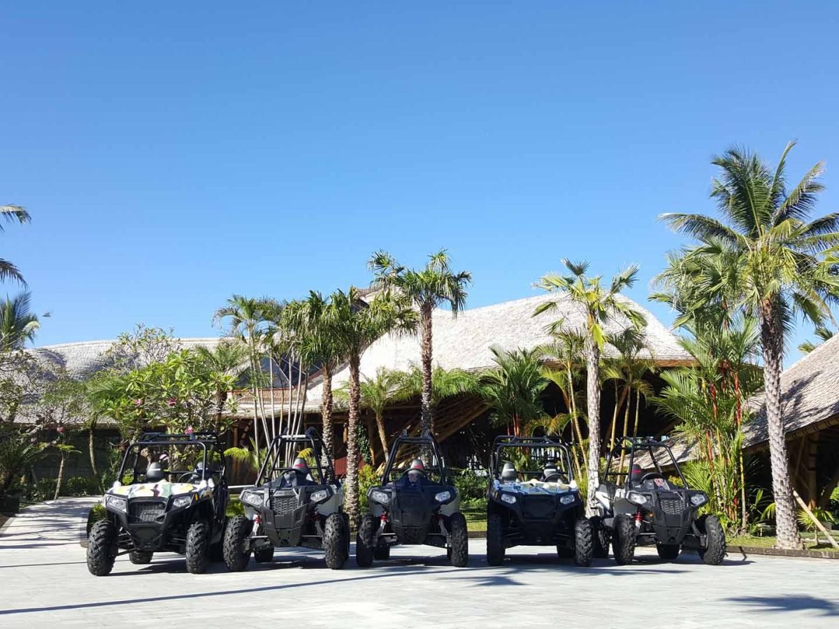 Jungle Buggies Experience by Mason Adventures