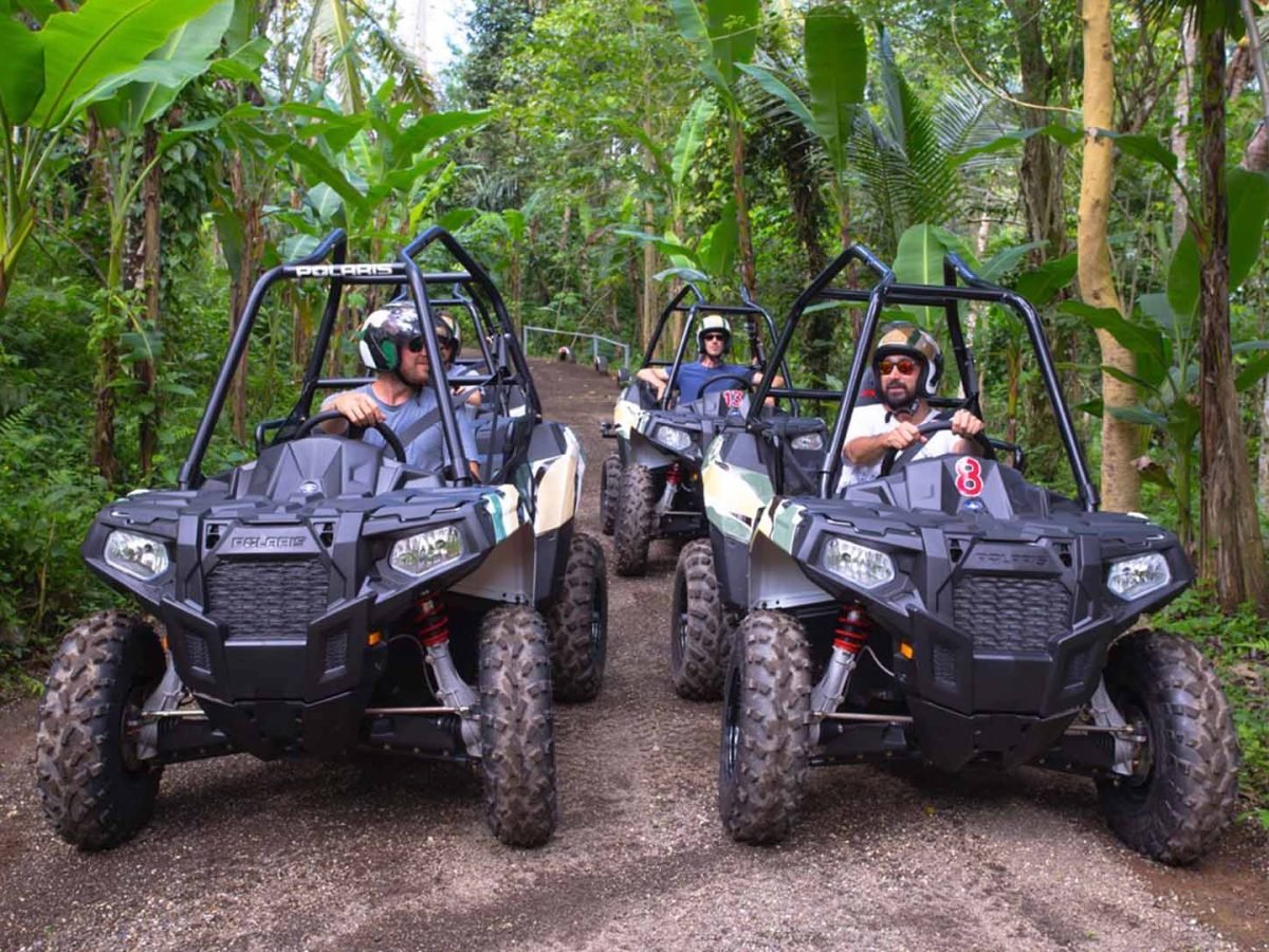 Jungle Buggy by mason 11 - Luxury Bali Tours and Travel