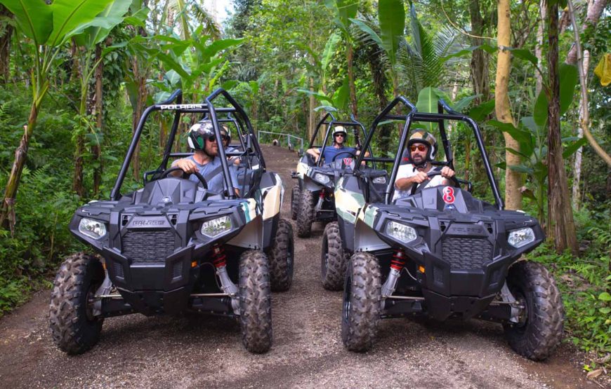 Jungle Buggies Experience by Mason Adventures