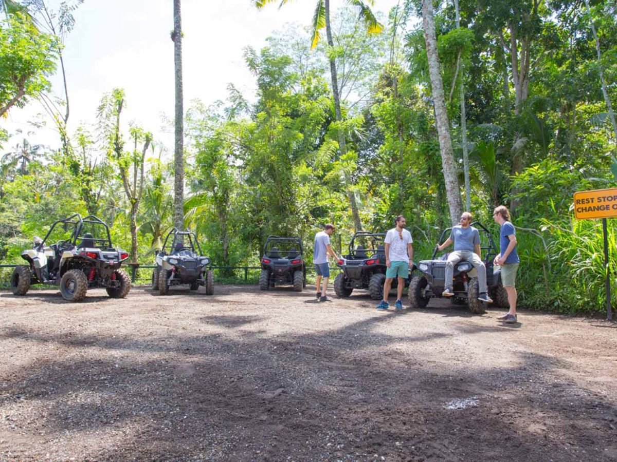 Jungle Buggy - Mason