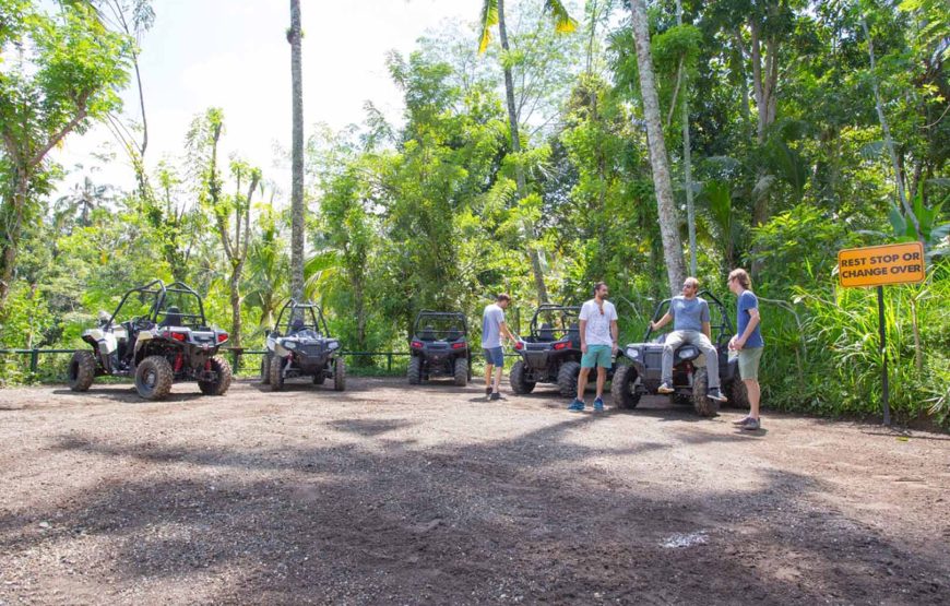 Jungle Buggies Experience by Mason Adventures