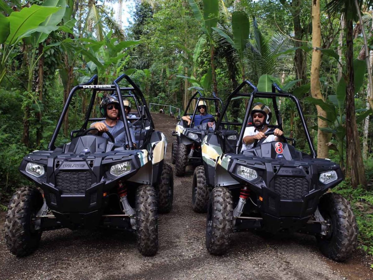 Jungle Buggies Experience by Mason Adventures