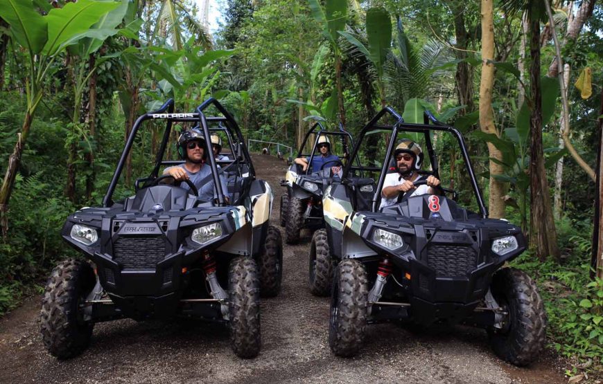 Jungle Buggies Experience by Mason Adventures