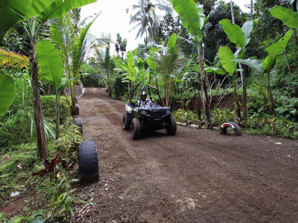 Jungle Buggy by mason 4 - Luxury Bali Tours and Travel