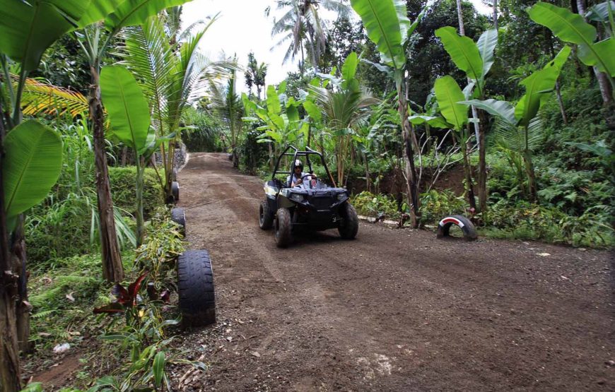 Jungle Buggies Experience by Mason Adventures