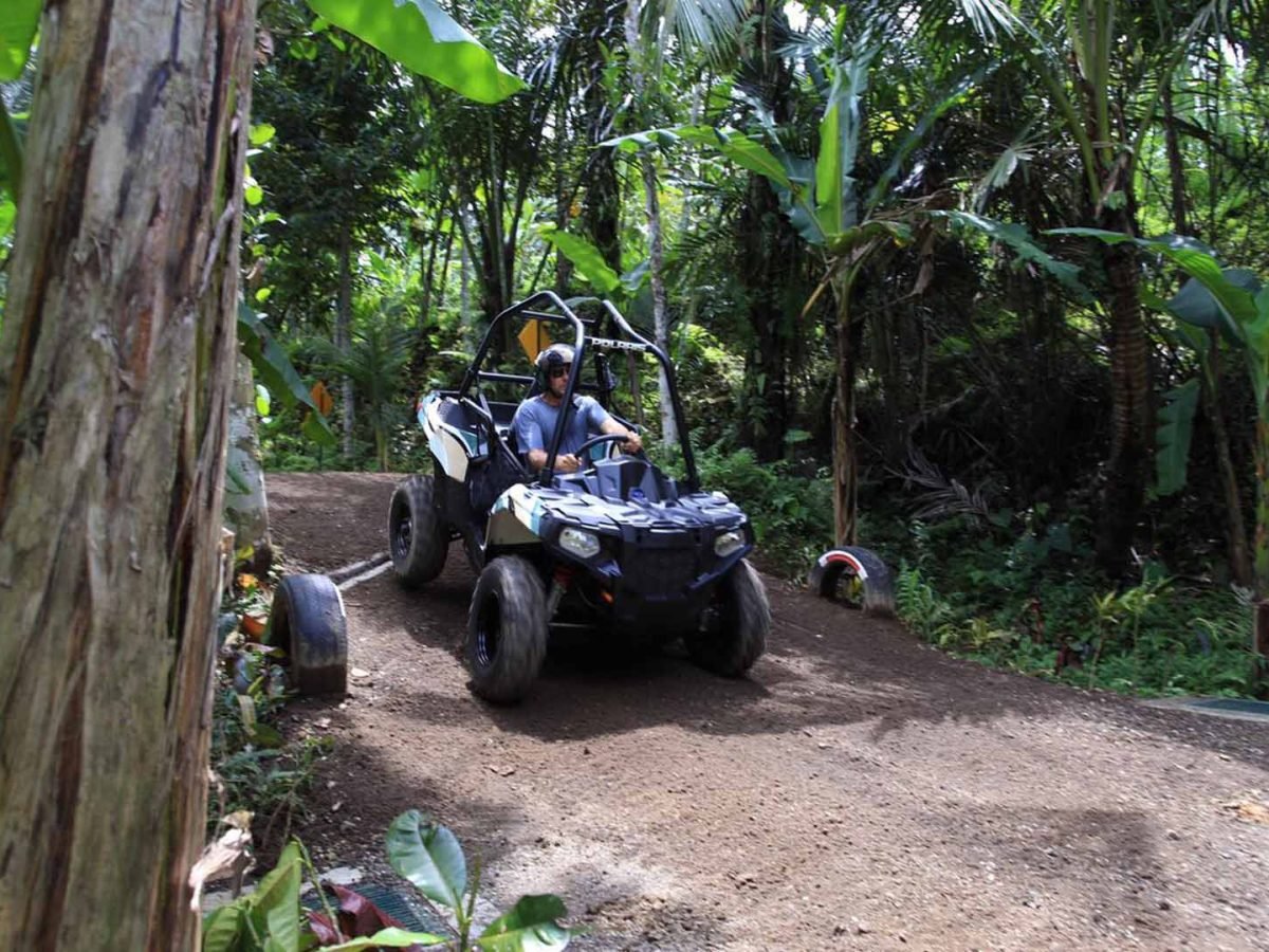 Jungle Buggy by mason 8 - Luxury Bali Tours and Travel