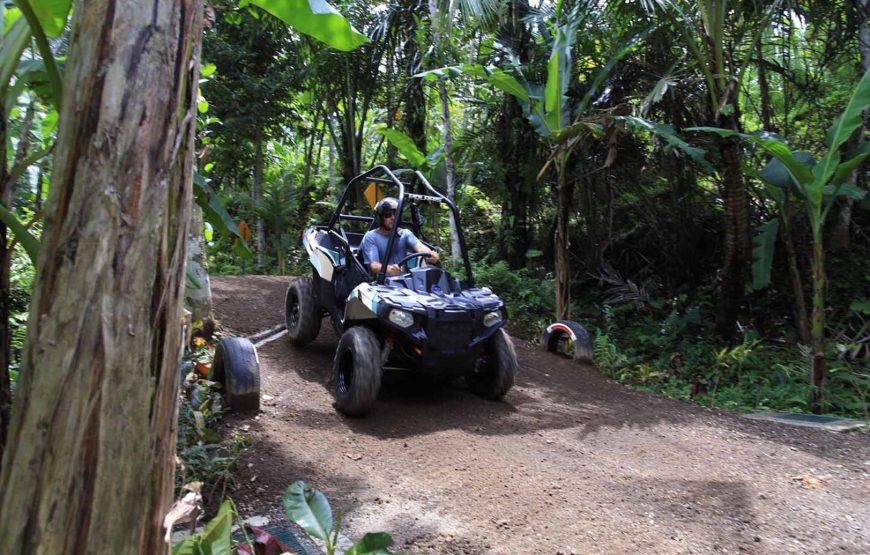 Jungle Buggies Experience by Mason Adventures