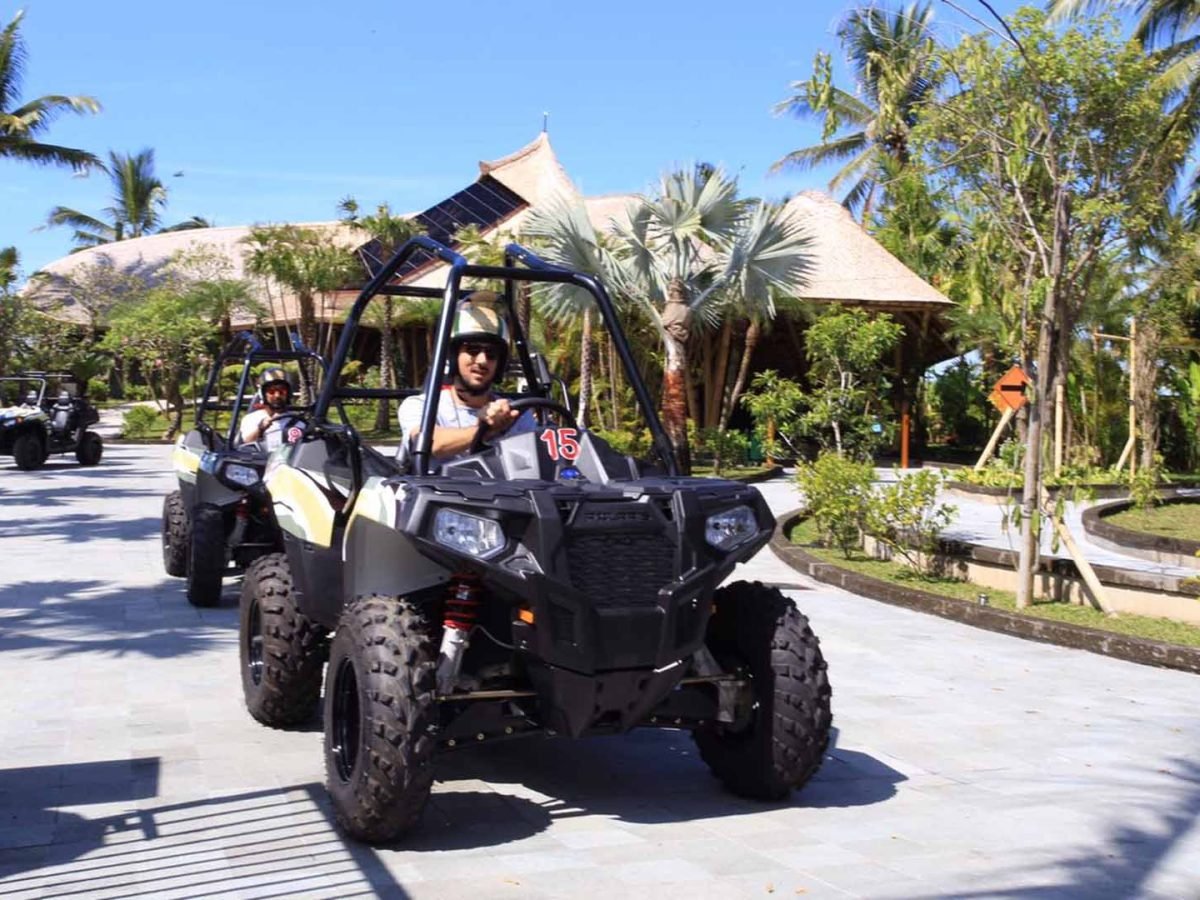 Jungle Buggy by mason 8 - Luxury Bali Tours and Travel