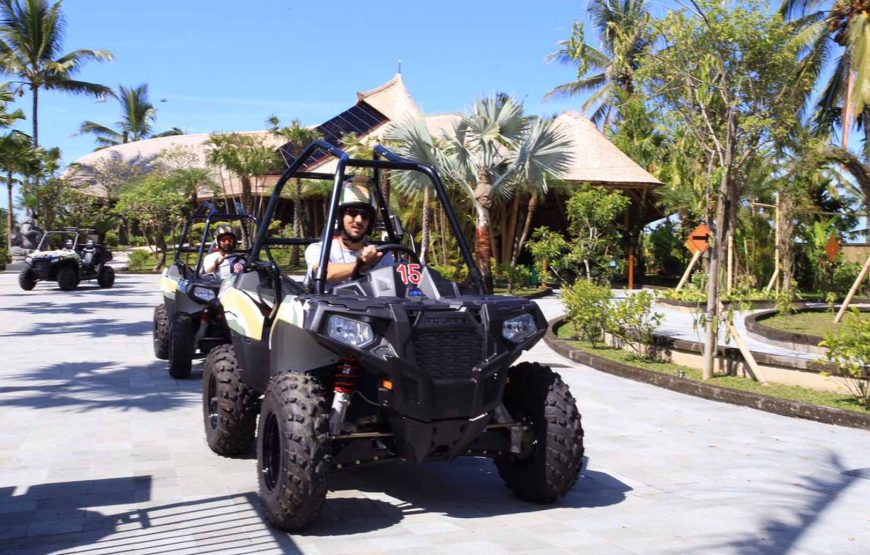 Jungle Buggies Experience by Mason Adventures