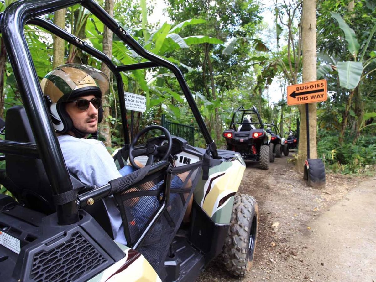 Jungle Buggy by mason 8 - Luxury Bali Tours and Travel